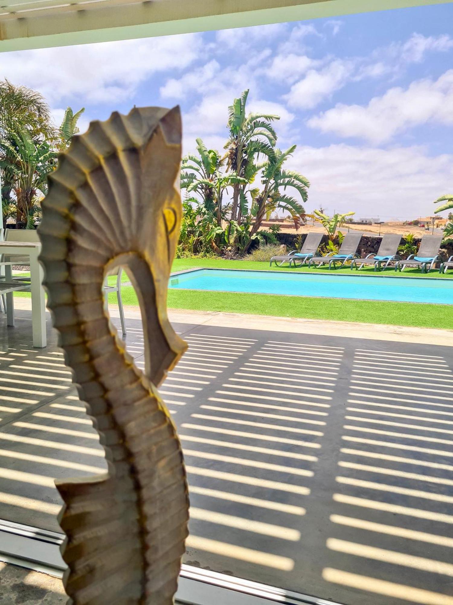 Vila Turquesa 1 Fuerteventura Lajares Exteriér fotografie
